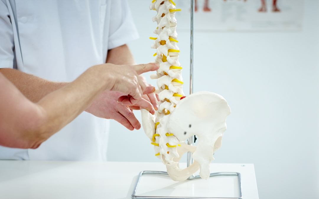 Does a Chiropractor Only Work on Backs?