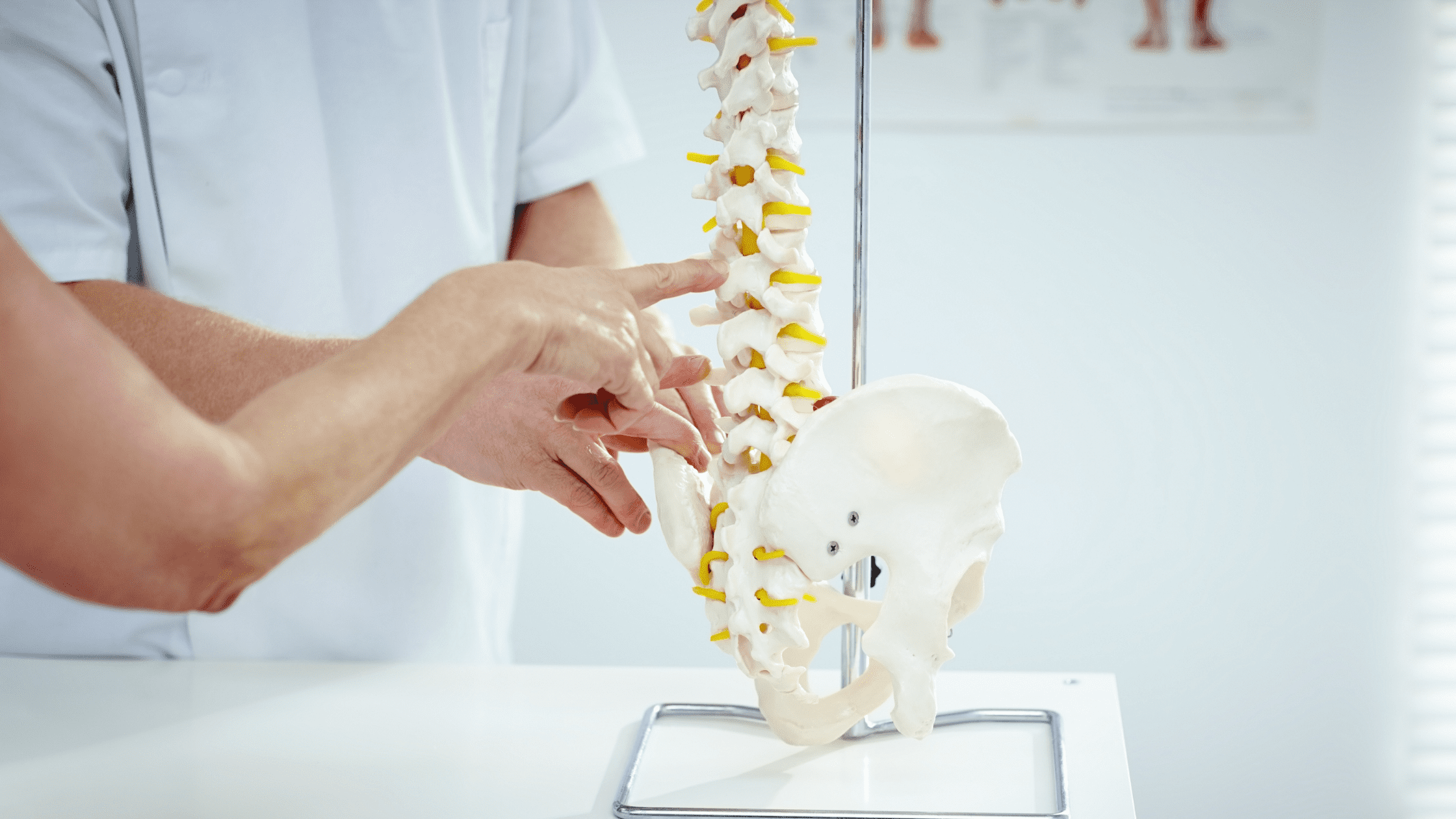 do chiropractors only fix on the spine